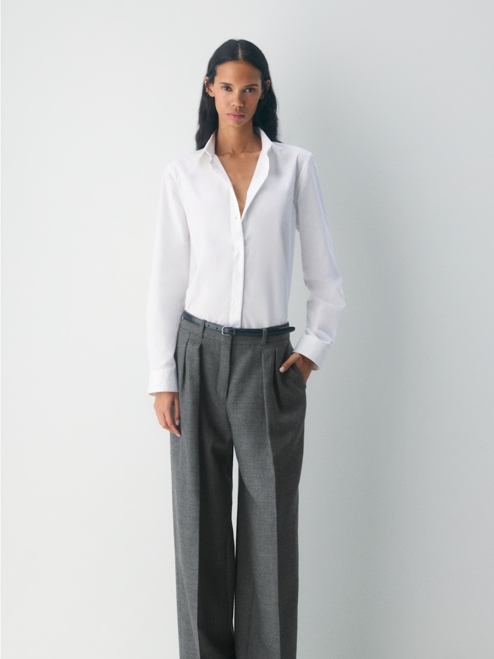 Aritzia | Babaton Classic Poplin Shirt